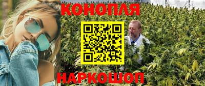 сатива Заволжье