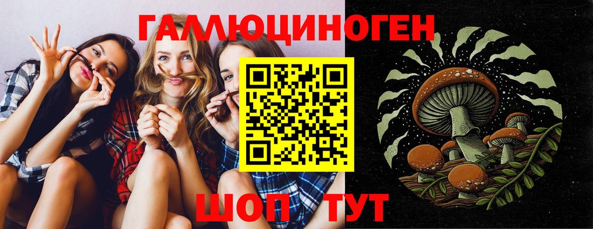 Озёрск  Псилоцибиновые грибы MAGIC MUSHROOMS  Вход с VPN  Галлюциногенные грибы GOLDEN TEACHER 